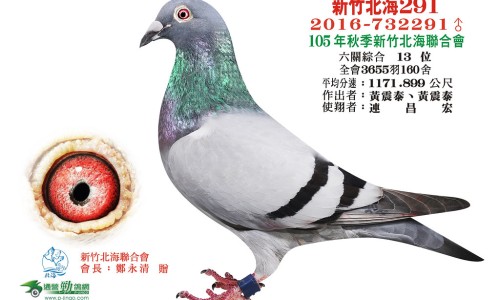 破立妥的使用方法-破立妥的使用方法专区_破立妥副作用大吗专区_破立妥有副作用网