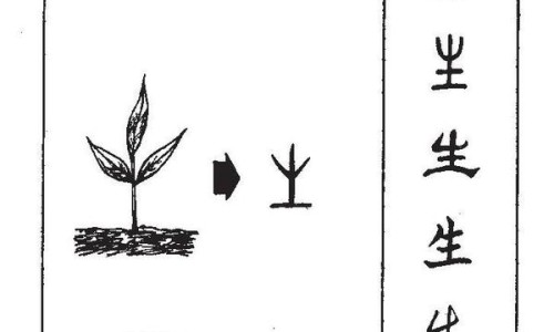 破立妥主要成分-破立妥的使用方法专区_破立妥副作用大吗专区_破立妥有副作用网